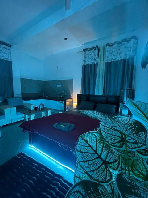 Bed, Living room, Photo of the whole room, Seating area, Bedroom