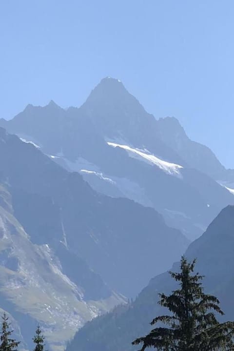 Holiday Home ChaletSwissalp Topof by Interhome House in Grindelwald