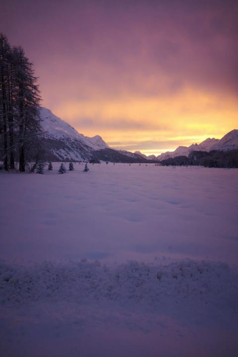 Apartment 2-5 Bettwohnung by Interhome Apartment in Samedan