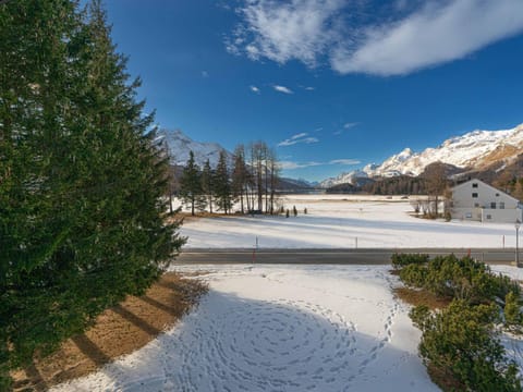 Apartment Chesa Tscheppa 2 by Interhome Apartment in Samedan