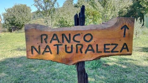 Logo/Certificate/Sign