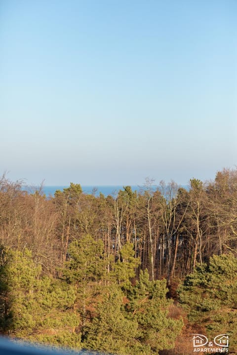 Rybka Aquamarina Onyx D&D Apartments Apartment in Miedzyzdroje