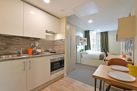 Bed, Kitchen or kitchenette, Photo of the whole room, Seating area, Dining area, Bedroom, oven, stove