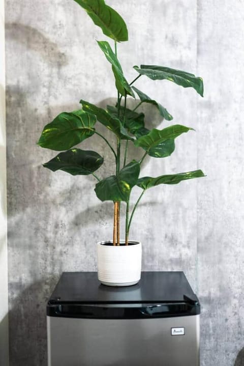 Hill Country Haven: Gateway to TXST and San Marcos House in San Marcos