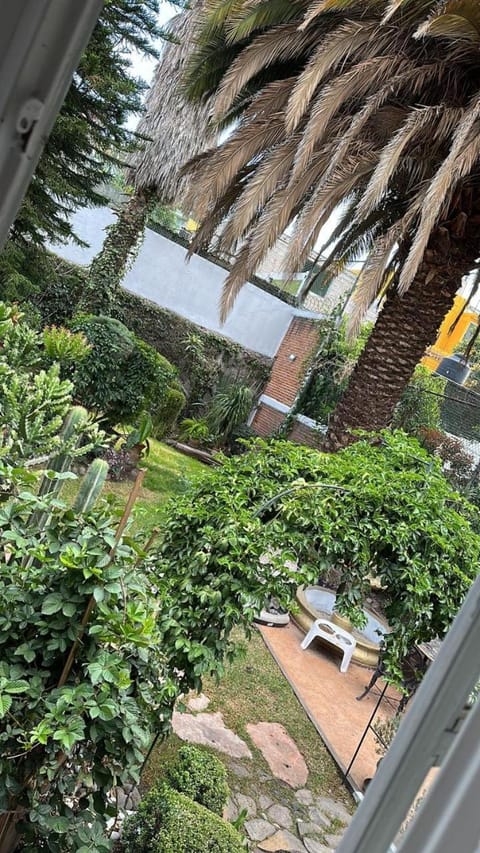 CasaButique House in Mexico City