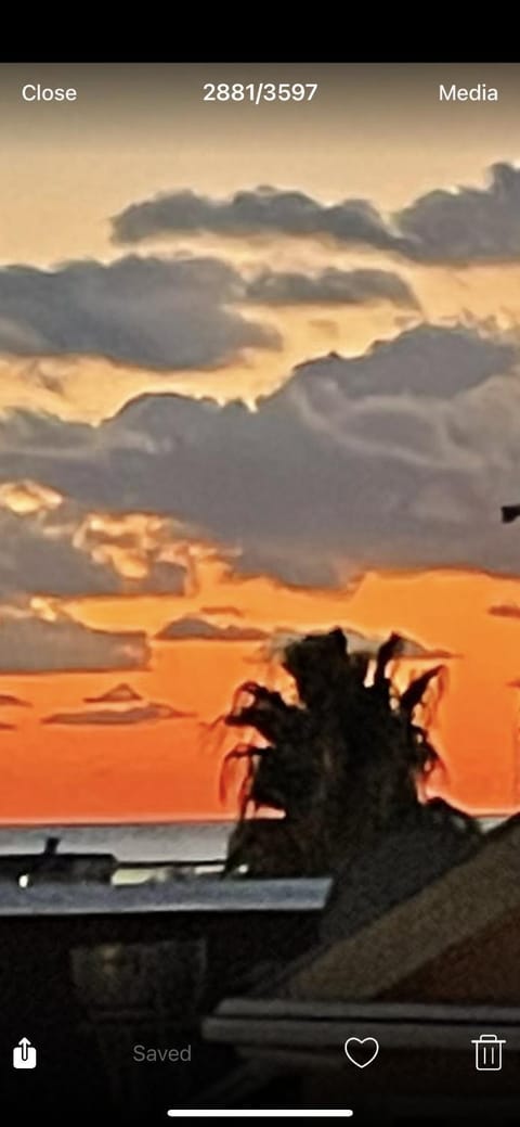 Apartment Lupo Apartment in Budva