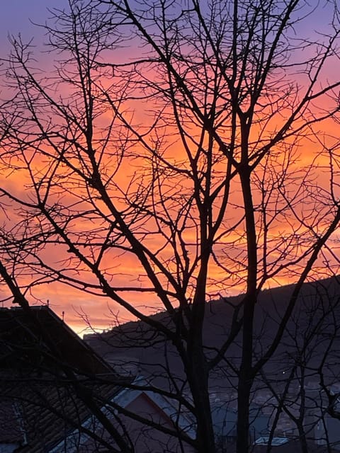 Apartment Lupo Apartment in Budva