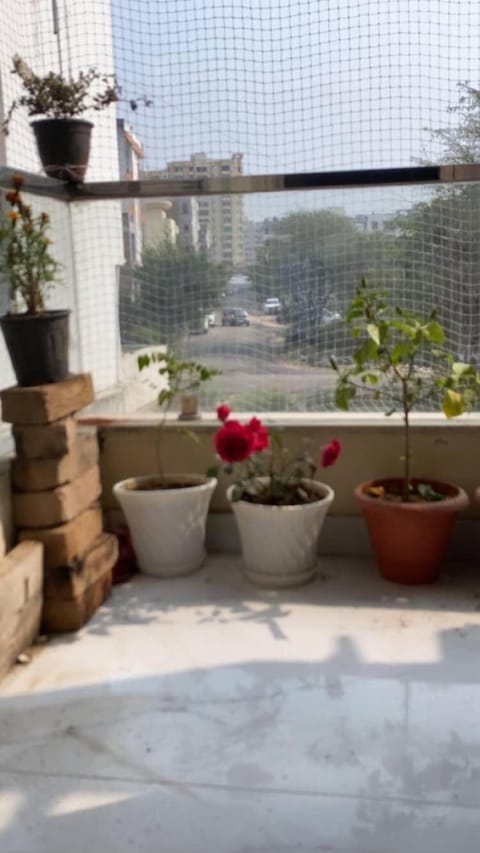 Honey Bee Hive Apartment in Jaipur
