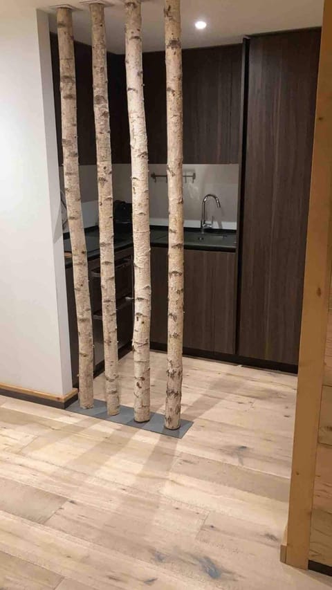 Apartment in new chalet with private garden Apartment in Megève