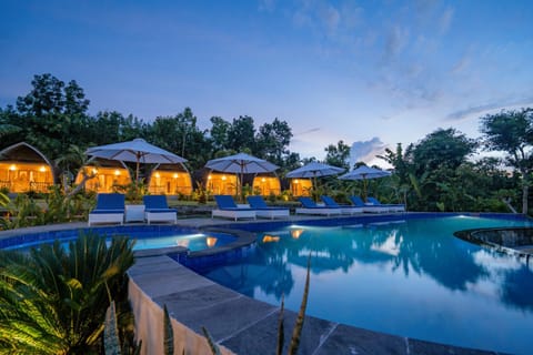 Pool view, Swimming pool, sunbed