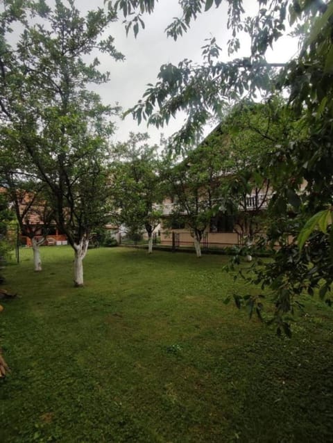 Pandora Apartments Sarajevo Apartment in Federation of Bosnia and Herzegovina