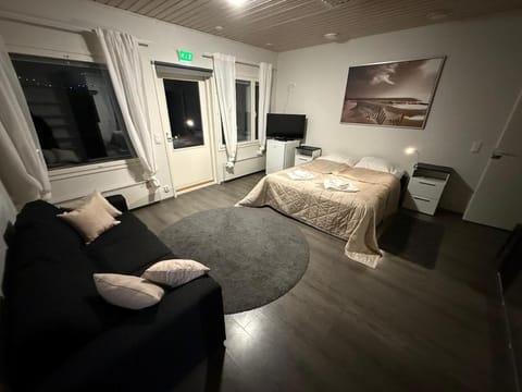 Willa Saimaa large villa in the heart of Lake Saimaa Apartment in Finland