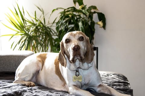 Lovely private room with private bathroom Vacation rental in Malta