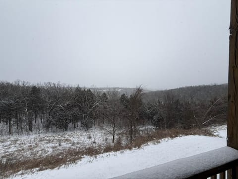 Branson Lights Overlook Apartment in Branson