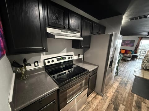 Branson Lights Overlook Apartment in Branson