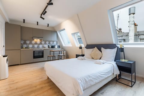 Bed, Kitchen or kitchenette, Living room, Photo of the whole room, Seating area, Dining area, Bedroom, oven, stove