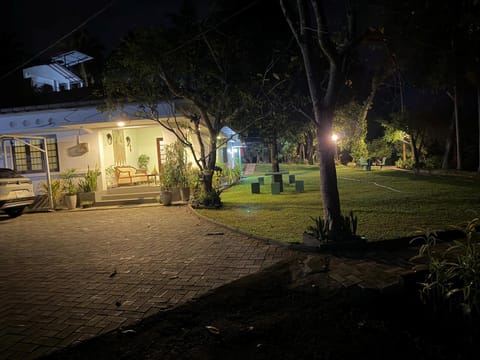 Night