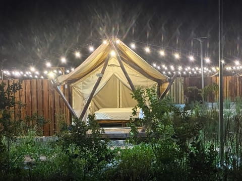 Night, Garden