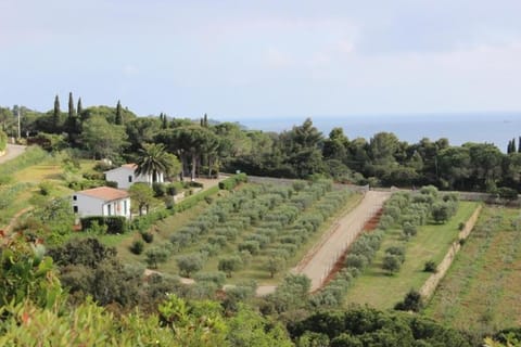 VILLETTA ZUCCALE - A 200 mt dalla spiaggia Apartment in Capoliveri