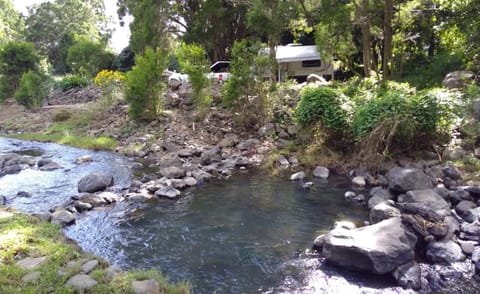 Spring, Natural landscape, River view
