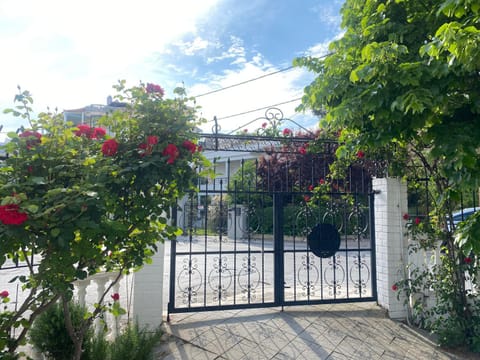 Day, Garden view