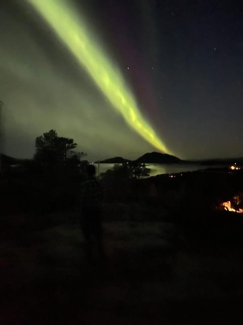 Studio apartment in the city center Apartment in Nordland, Norway