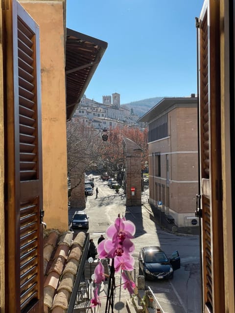 City view, Street view