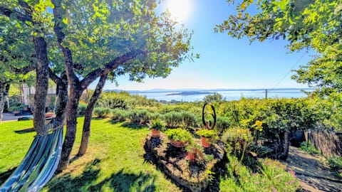 Natural landscape, Garden, Garden view, Lake view
