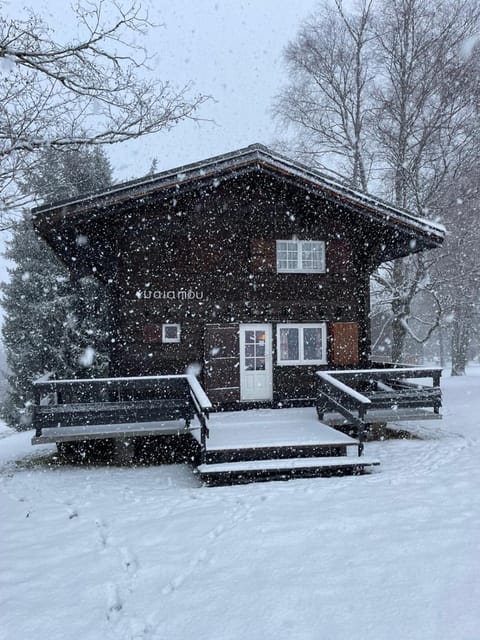 Property building, Winter, Garden