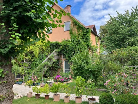 Property building, Garden