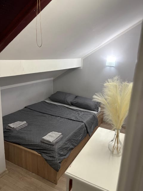 Fenix Apartman IV Apartment in Serbia