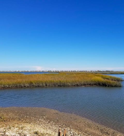 Walk to the park and beach private 1 bedroom Bed and Breakfast in Garden City