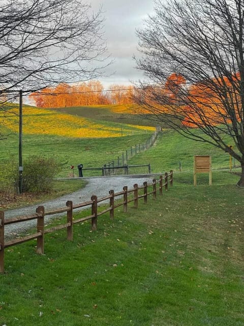 Logan’s Lookout over Mohican - Modern Farmhouse House in Ohio
