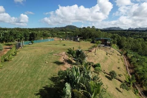 Natural landscape, Garden, Garden