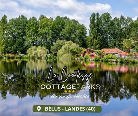 Property logo or sign, Natural landscape, Lake view