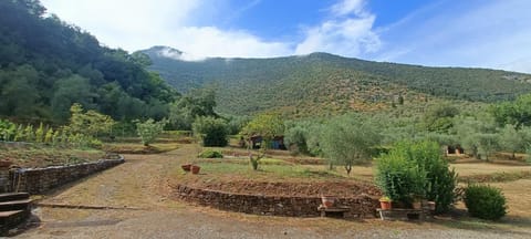 casale Villa Esa Villa in Lucca