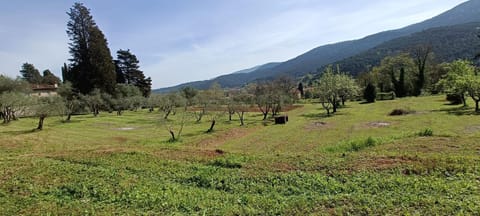 casale Villa Esa Villa in Lucca