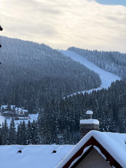 Day, Natural landscape, Winter, Ski School, Ski School, Skiing, Skiing, Balcony/Terrace, Mountain view, Mountain view