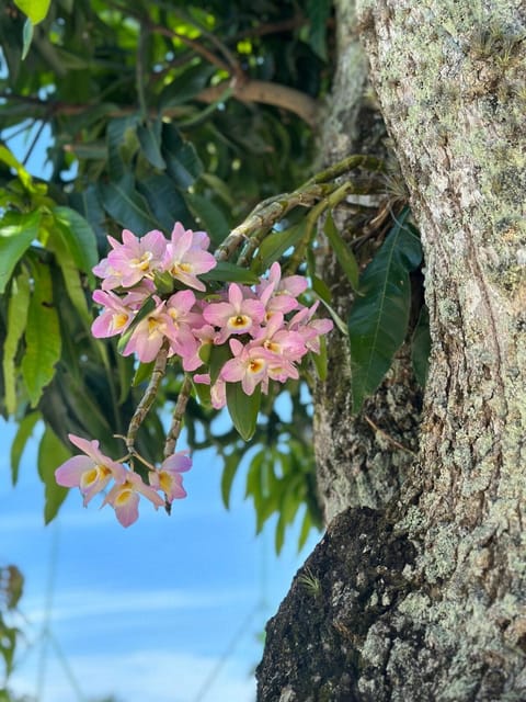 Casa com quadra de areia House in Rio de Janeiro