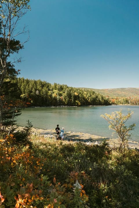 Ferncrest Acadia Luxury tent in Sedgwick