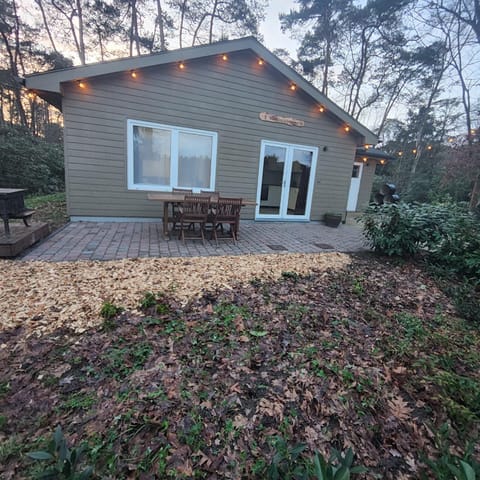 Property building, Day, Garden
