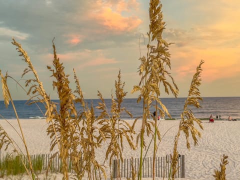 Alabama Sands 9 by ALBVR - Walk to Beach, Pool, and Little Lagoon! Apartment in West Beach