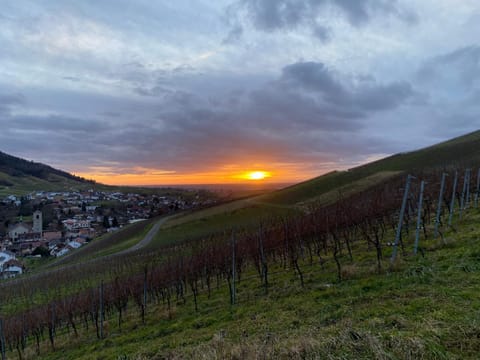 Natural landscape, Sunset