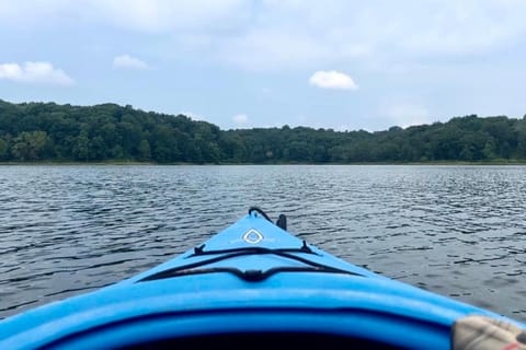 Log Home Hot Tub Retreat, Kayaks House in Lake of Egypt