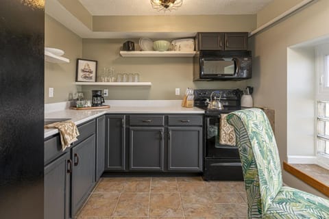 Urban-Chic King Suite Near SIU Carbondale Hotel in Carbondale