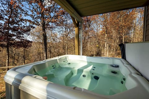 3BR Home w Hot Tub & Sunset Views Near SIUC House in Makanda Township