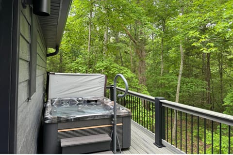 Modern 2BR Cabin w Hot Tub Near Carbondale Cabin in Makanda Township