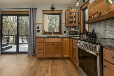 Modern 1BR Cabin w Hot Tub Near Carbondale Cabin in Makanda Township