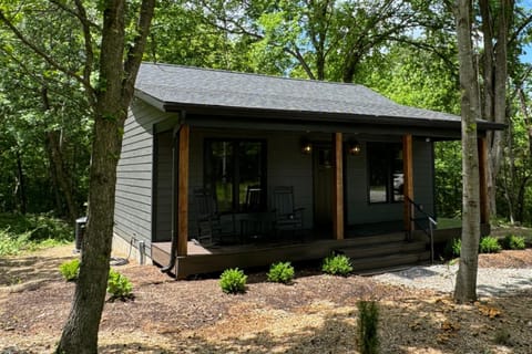 Modern 1BR Cabin w Hot Tub Near Carbondale Cabin in Makanda Township