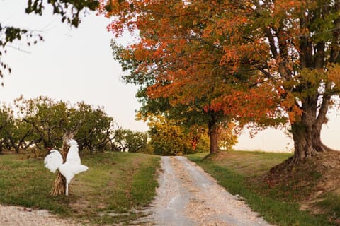 Historic Farm Cottage on 800-Acre Orchard Country House in Kentucky